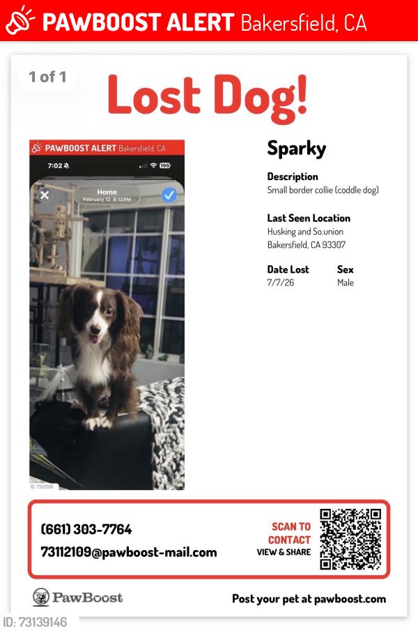Lost Male Dog last seen Hosking Ave & S. Union Ave, Bakersfield, CA 93307