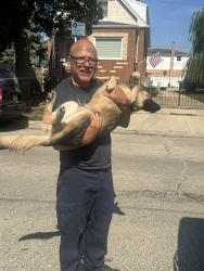Reunited Female Dog last seen Dunnin, Chicago, IL 60634