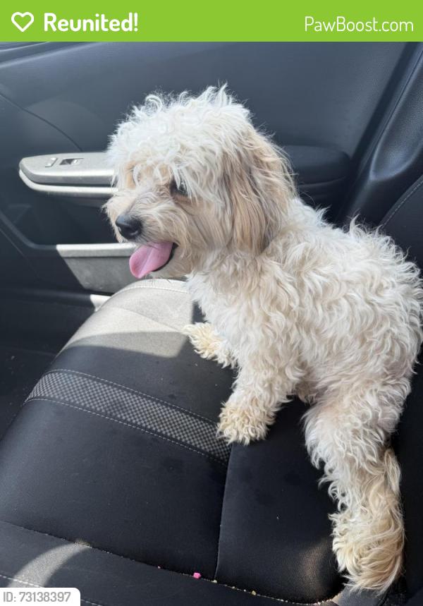 Reunited Female Dog last seen Cliffdale Rd, Fayetteville, NC 28304