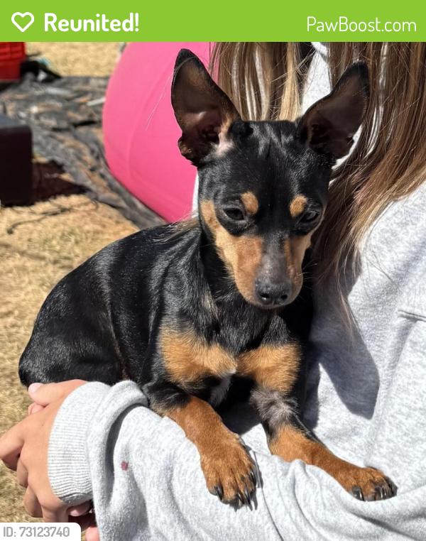 Reunited Female Dog last seen Willamette Dr, Keizer, OR 97303