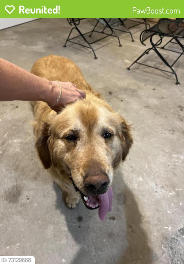 Reunited Male Dog last seen Near Shawnee Dr, Huntington, WV, Huntington, WV 25705