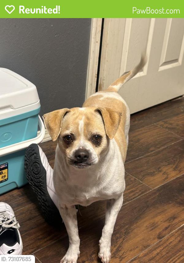 Reunited Male Dog last seen Near S 149th E Ave, Tulsa, OK 74134, USA, Tulsa, OK 74134