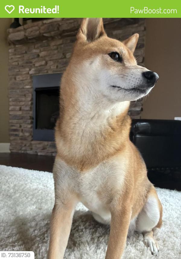 Reunited Male Dog last seen Near East Strawn, Jonesboro, AR 72401