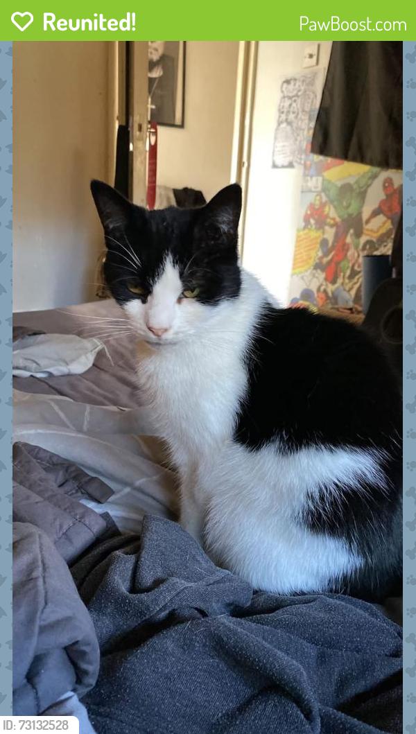 Reunited Male Cat last seen Red Bricks Hulme, Greater Manchester, England M15 5AB