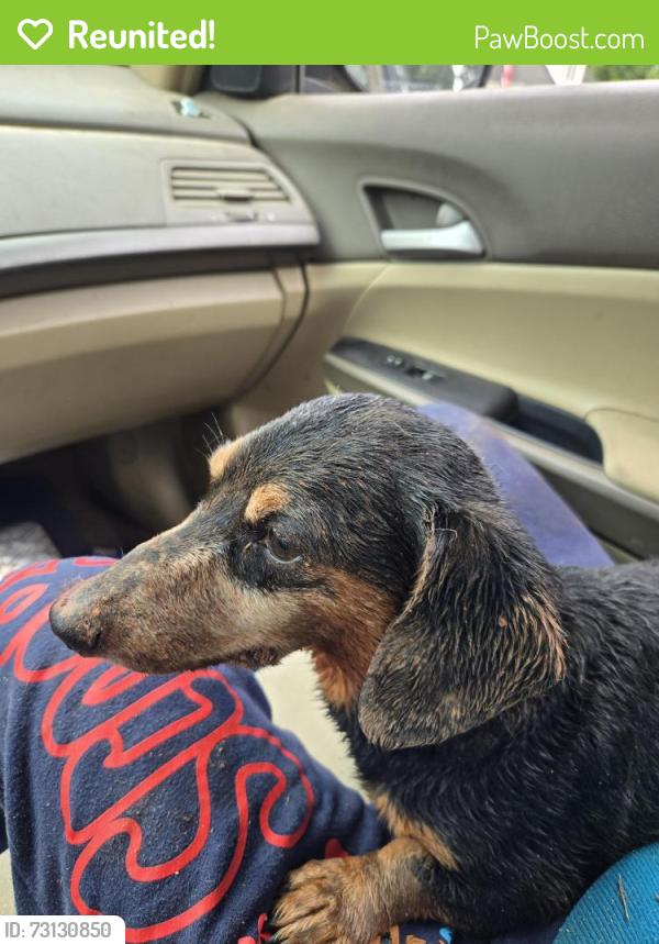 Reunited Male Dog last seen Bishop, Bishop, GA 30621