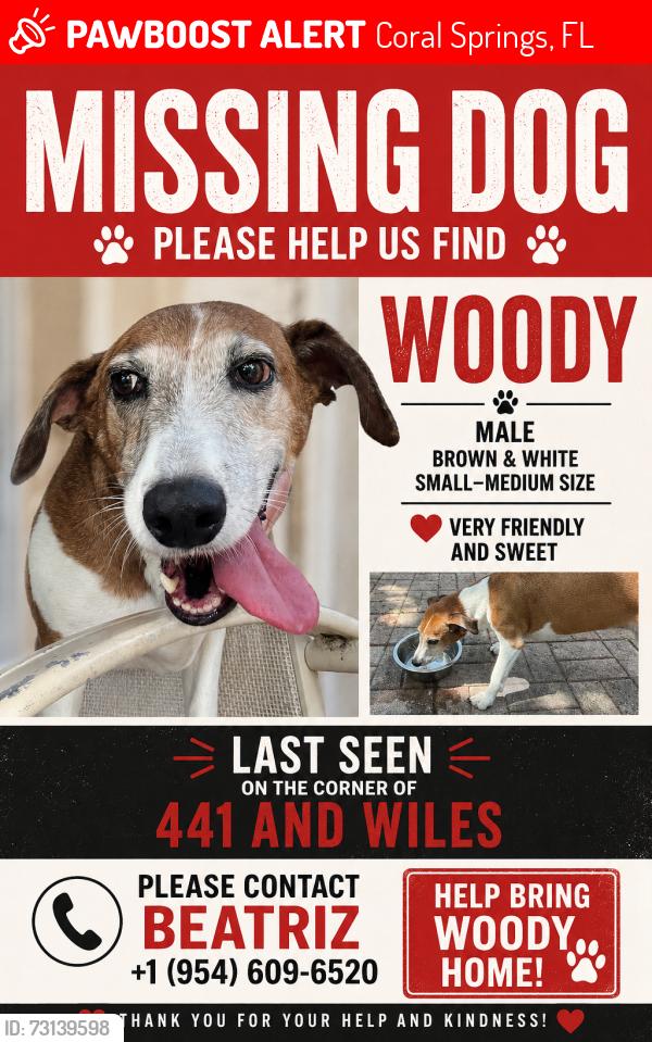 Lost Male Dog last seen Wiles rd and 66th. Near target, Coral Springs, FL 33067