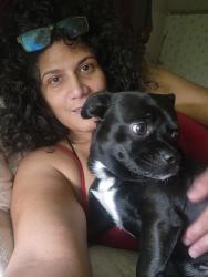Lost Male Dog last seen East houston and foster rd, San Antonio, TX 78220