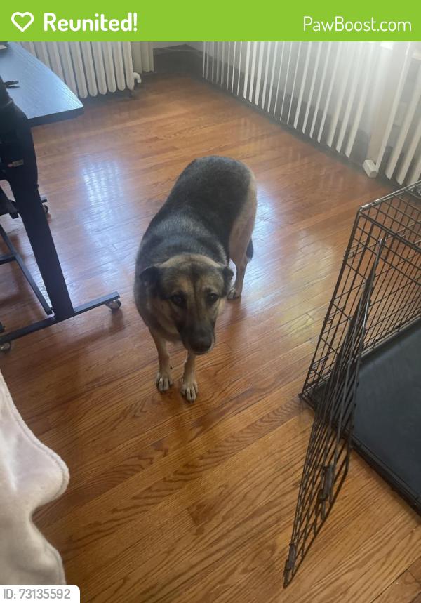 Reunited Female Dog last seen 81st and Peoria Street, Peoria St, CO 80239