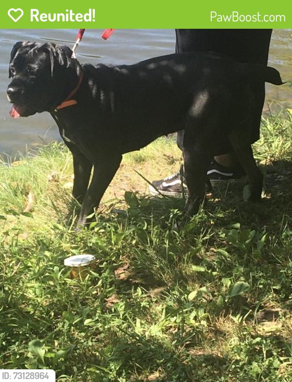 Reunited Female Dog last seen Bellefontaine Rd, Spanish Lake, MO 63138