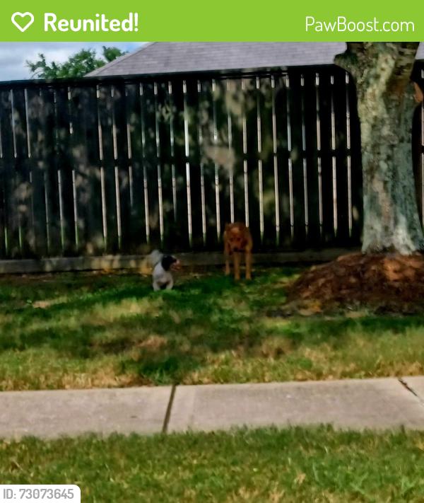 Reunited Unknown Dog last seen Near and salt grass point, La Marque, TX 77568