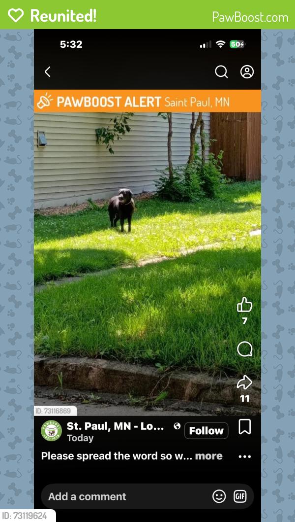 Reunited Female Dog last seen 4th st east St.Paul man 55106, Saint Paul, MN 55106