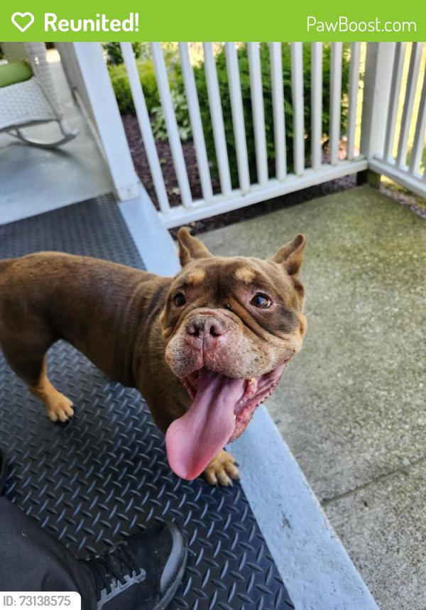 Reunited Female Dog last seen Longpond, Rochester, NY 14626