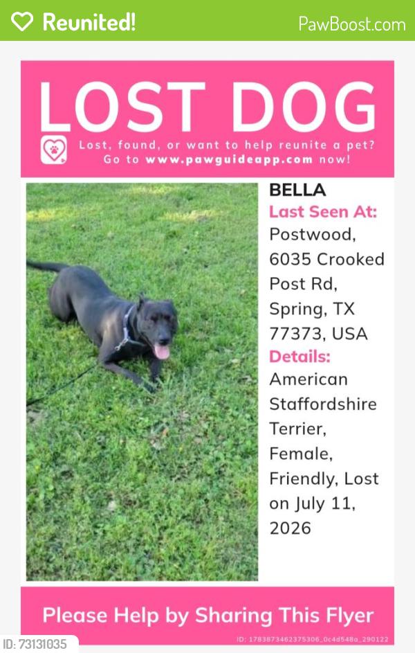 Reunited Female Dog last seen Treaschwig Street, Spring, TX 77373
