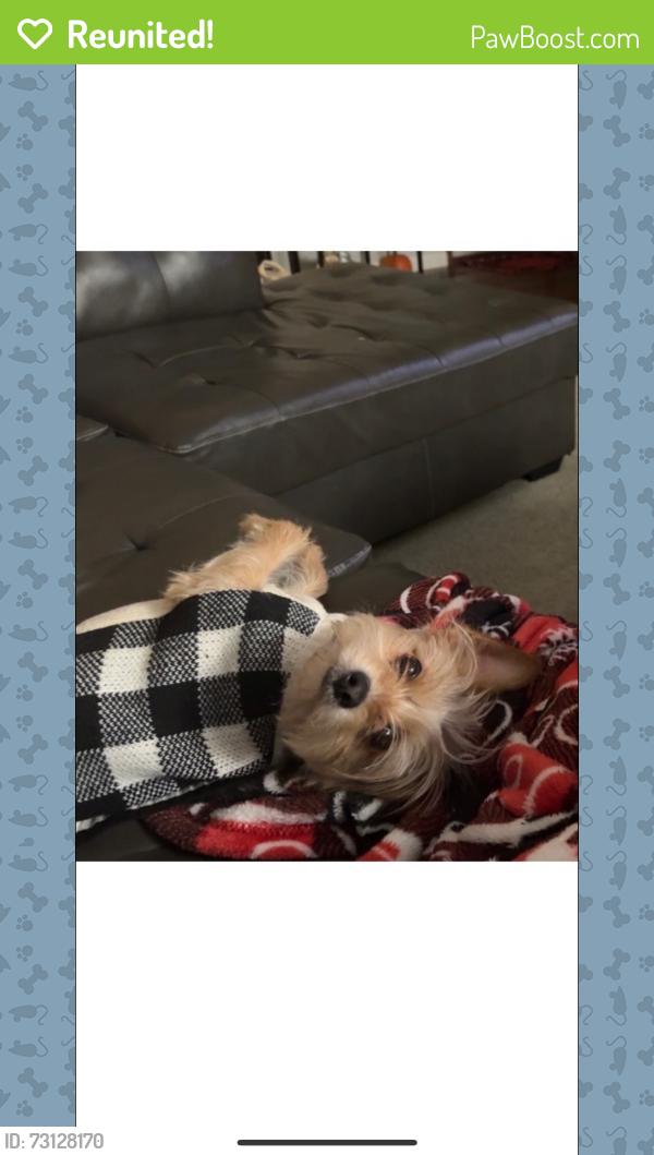 Reunited Male Dog last seen White Caps, Pleasant Prairie, WI 53158