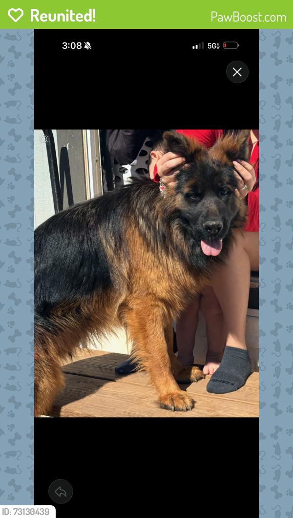 Reunited Male Dog last seen Greenwood, Midland County, TX 79706
