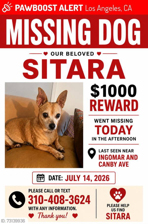 Lost Female Dog last seen ingomar and canby ave, Los Angeles, CA 91335