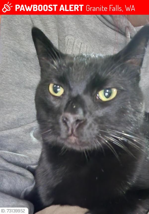 Lost Male Cat last seen Hemming way, Granite Falls, WA 98252