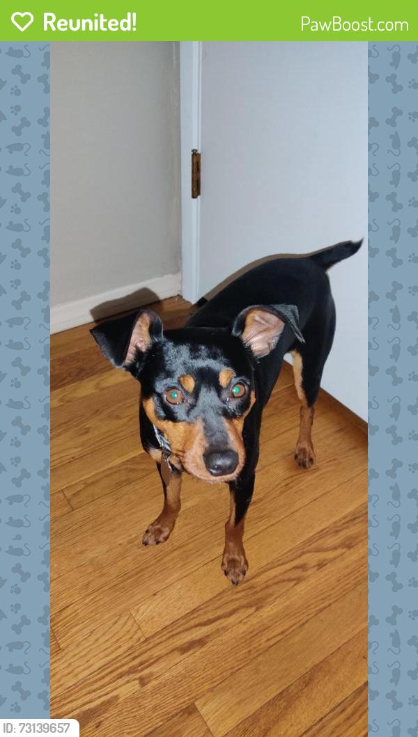 Reunited Male Dog last seen Sunburts and Pepper drive, El Cajon, CA 92021