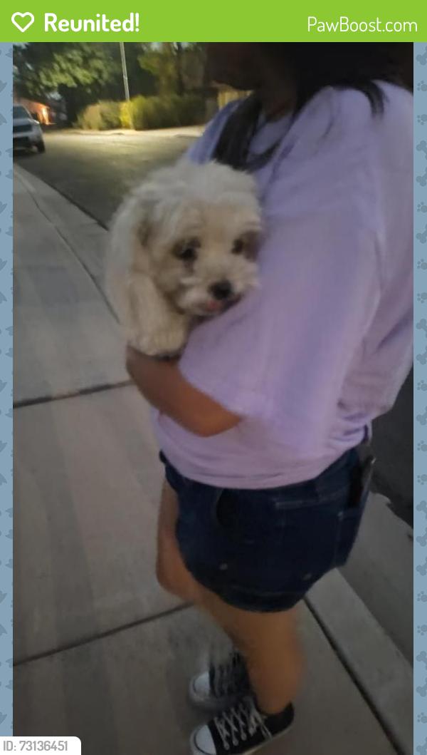 Reunited Unknown Dog last seen Lakeshore Dr and 220th Avenue, Avondale, AZ 85392