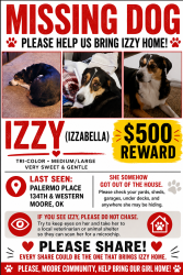 Reunited Female Dog last seen 134th and Western, Oklahoma City, OK 73170