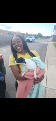 Reunited Female Dog last seen Sand hill road Lavergne, TN, La Vergne, TN 37086