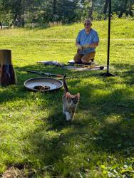 Found/Stray Female Cat last seen Oak Hills Drive SW, Rochester, MN 55904