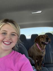 Reunited Female Dog last seen Georgetown rd, Lexington, KY 40511