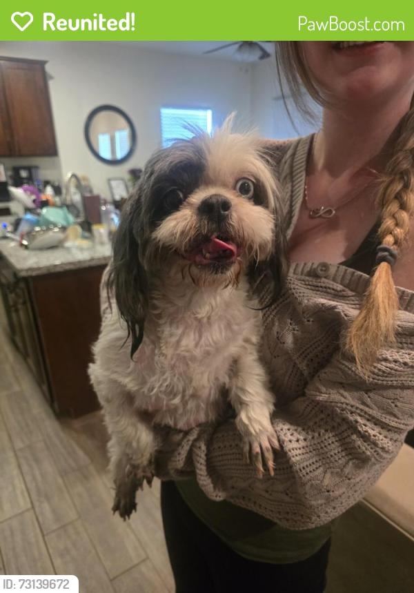 Reunited Unknown Dog last seen K streets anf Ben Maddox, Visalia, CA 93292