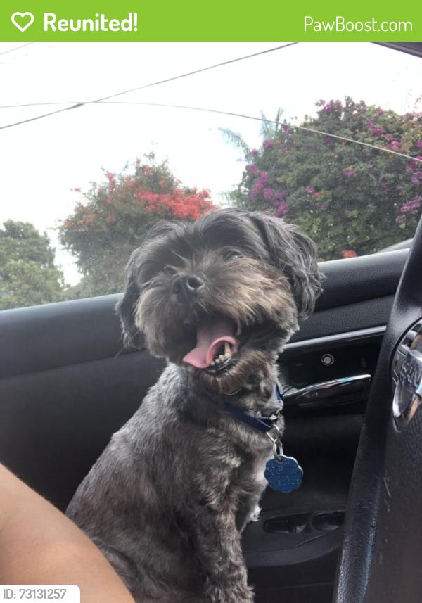 Reunited Female Dog last seen Near E Fifth Street Ontario, Ca 91764 mobile home park, Ontario, CA 91764