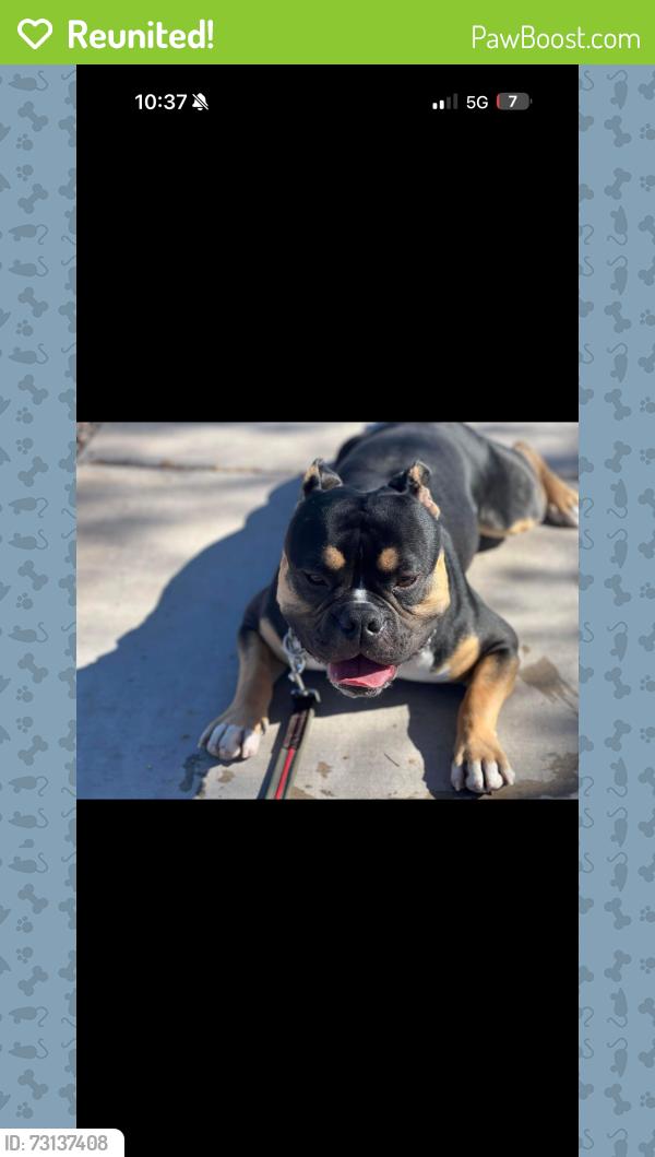 Reunited Male Dog last seen foster, Portland, OR 97266