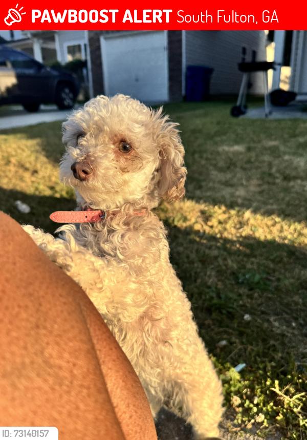 Lost Female Dog last seen Grey Fox Way, Crossrail Drive, South Fulton, GA 30296