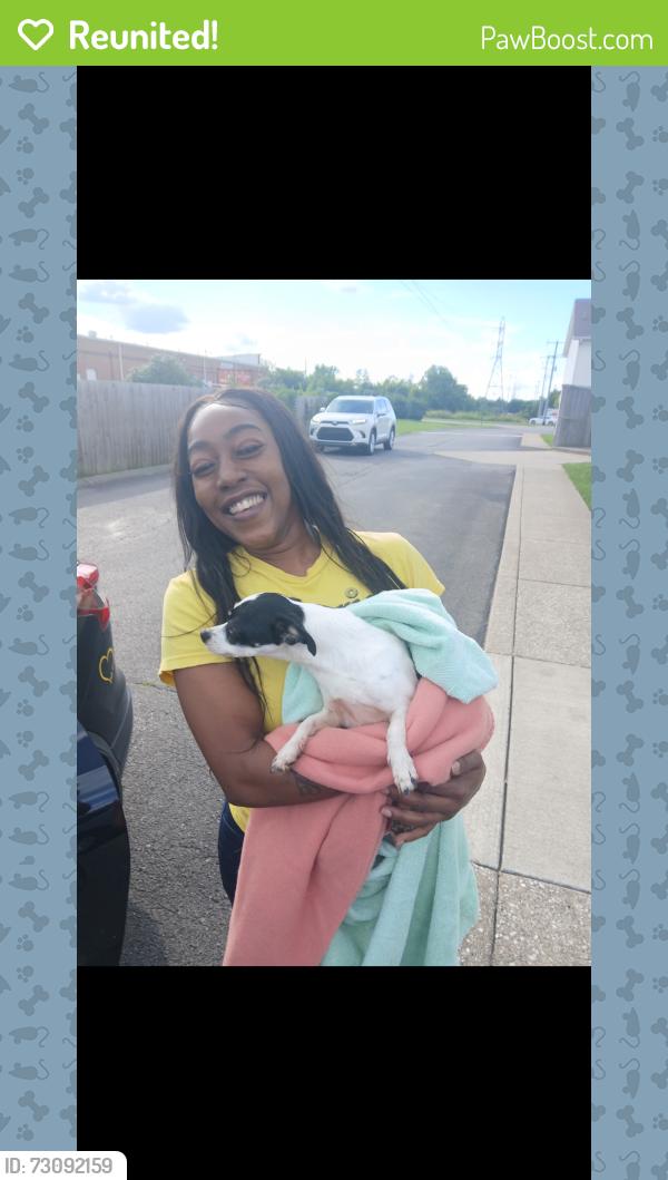 Reunited Female Dog last seen Sand hill road Lavergne, TN, La Vergne, TN 37086