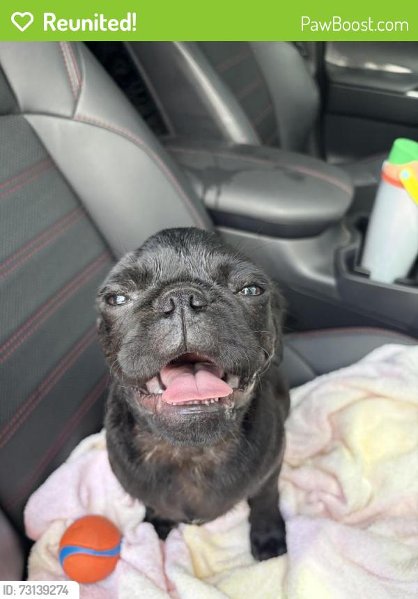 Reunited Male Dog last seen North Clairemont Rec Center, San Diego, CA 92117