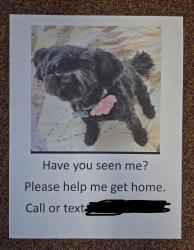 Lost Female Dog last seen Near S Humane WayPomona, CA 91766United States, Pomona, CA 91799