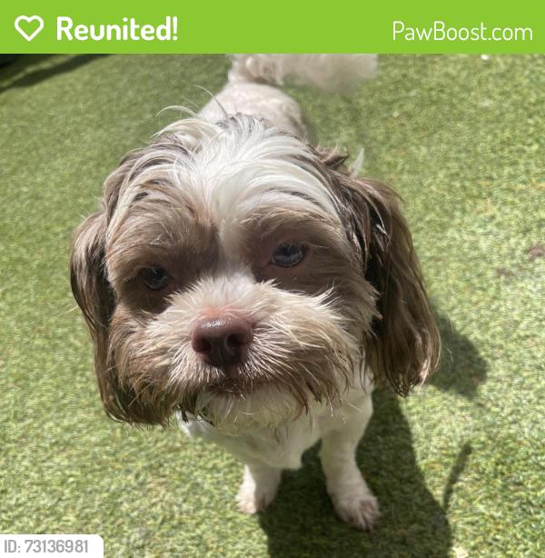 Reunited Male Dog last seen Fayetteville Rd, Atlanta, GA 30316