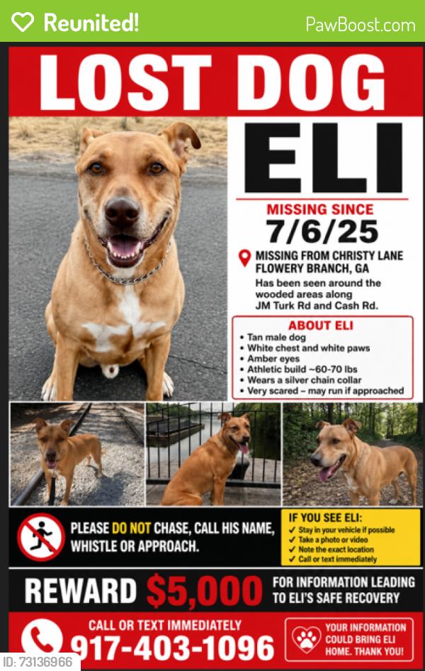 Reunited Male Dog last seen He’s been spotted all up and down Cash Rd, Flowery Branch, GA 30542