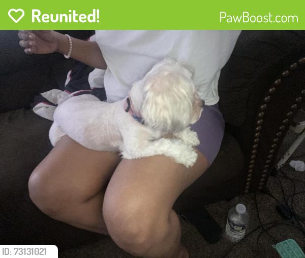 Reunited Female Dog last seen S. Belvoir blvd, South Euclid, OH 44121