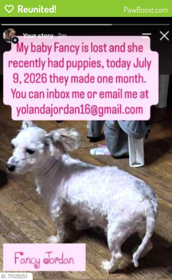 Reunited Female Dog last seen Western and 63rd Campbell Ave, Evergreen Park, IL 60805