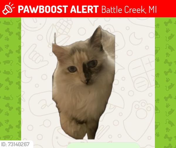Lost Female Cat last seen Limewood road, Battle Creek, MI 49017