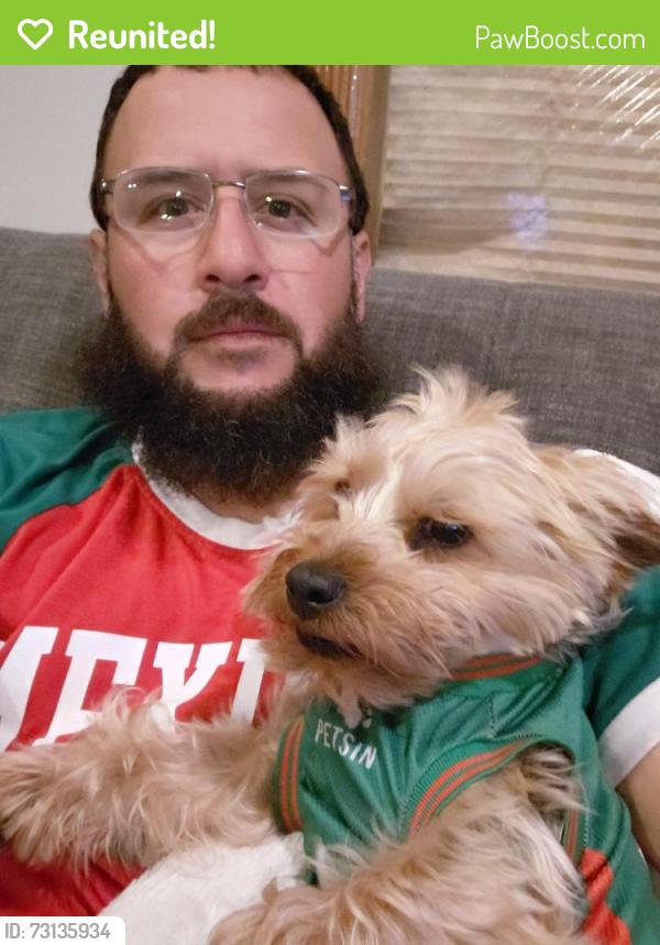 Reunited Male Dog last seen Octavia and Barry, Chicago, IL 60707