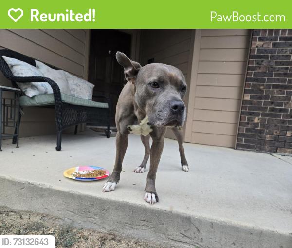 Reunited Female Dog last seen Richmond park, Converse, TX 78109