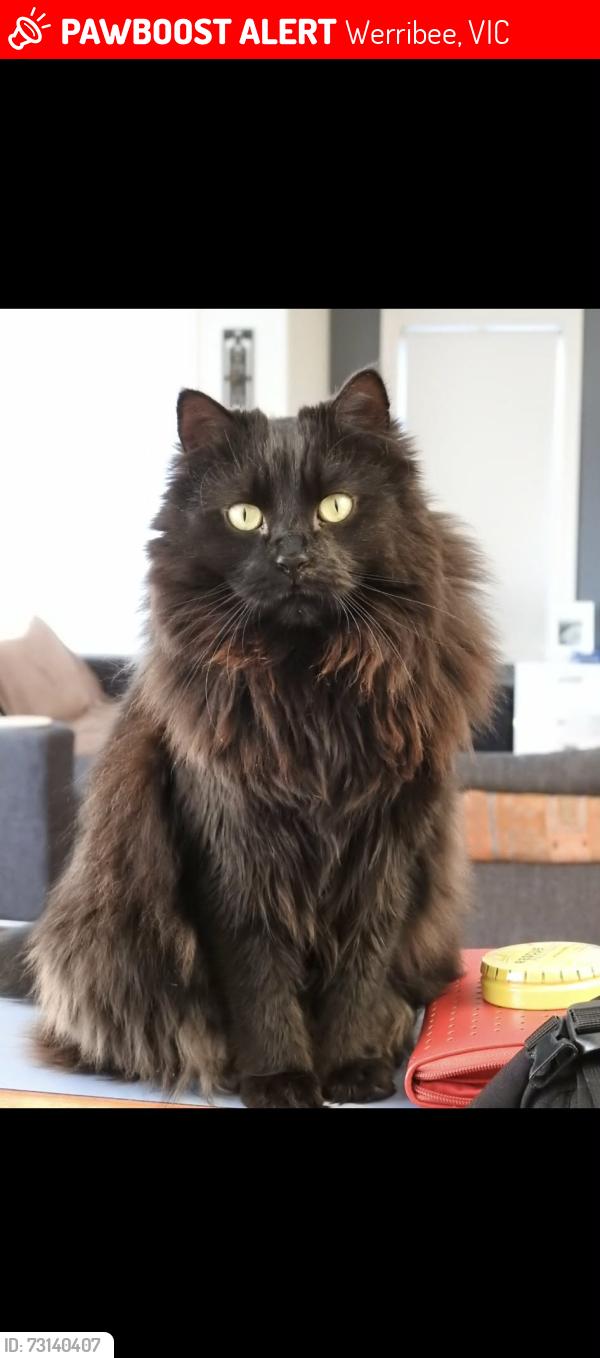 Lost Female Cat last seen Nantilla Crescent, Werribee, VIC 3030