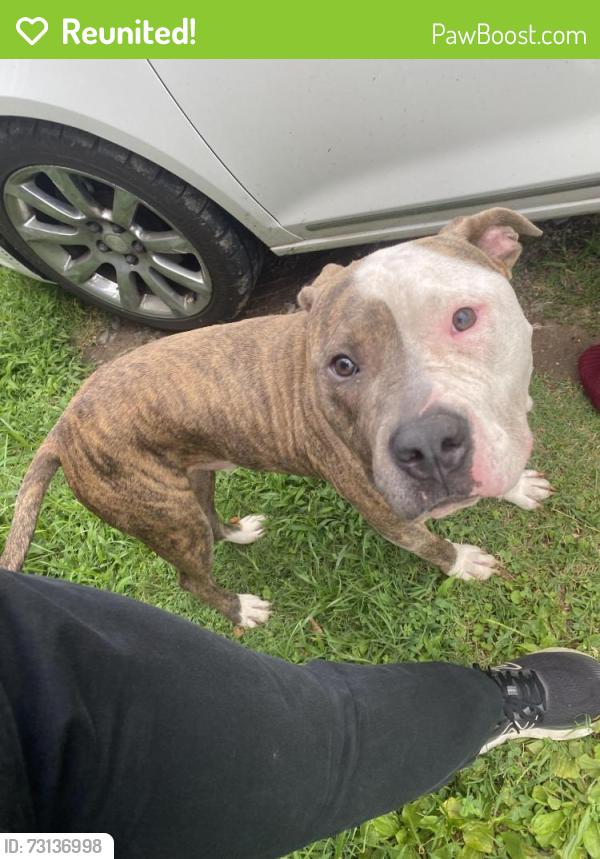 Reunited Male Dog last seen Country Kitchen, Dallas, NC 28034
