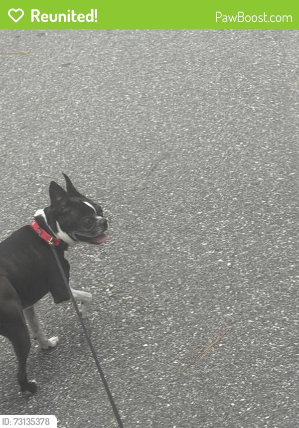 Reunited Female Dog last seen Babcock, Melbourne, FL 32935