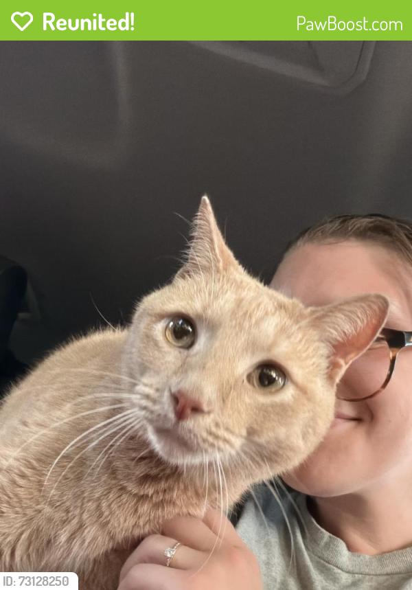 Reunited Male Cat last seen 52nd & Lloyd, Milwaukee, WI 53208