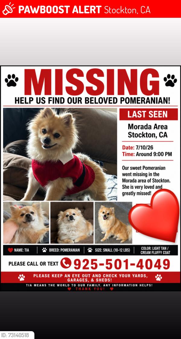 Lost Female Dog last seen Holman, Stockton, CA 95212