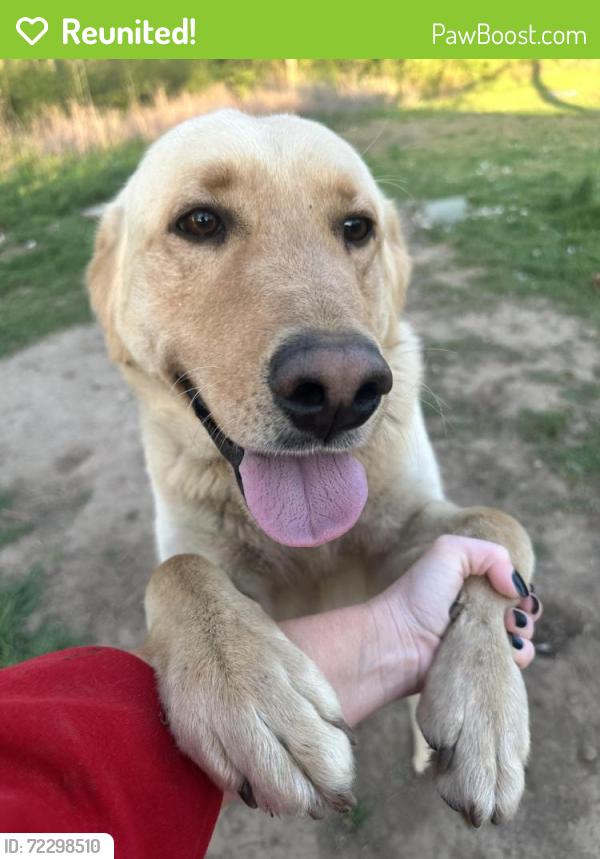 Reunited Male Dog last seen Circle K Dunlap TN, Dunlap, TN 37327