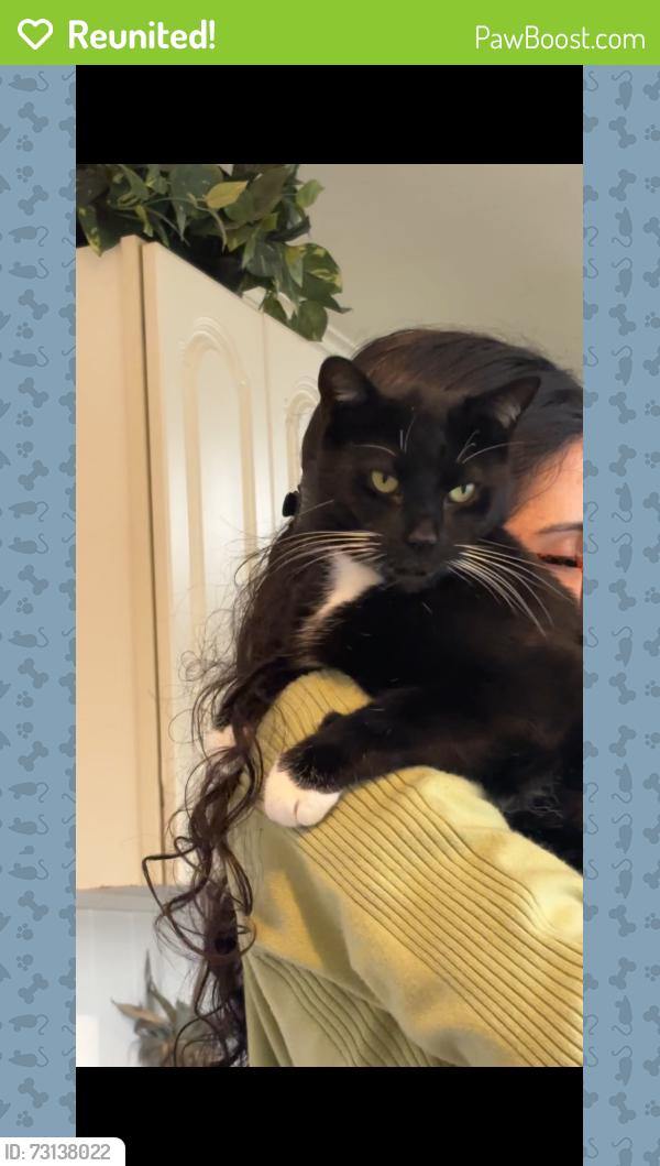 Reunited Male Cat last seen Gainsboro Road, Lawrence New Jersey, Lawrence Township, NJ 08648