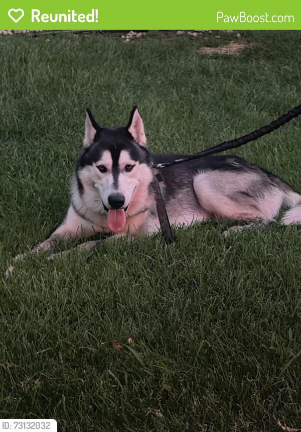 Reunited Male Dog last seen E.g. The Porterhouse, Saint Paul, MN 55117