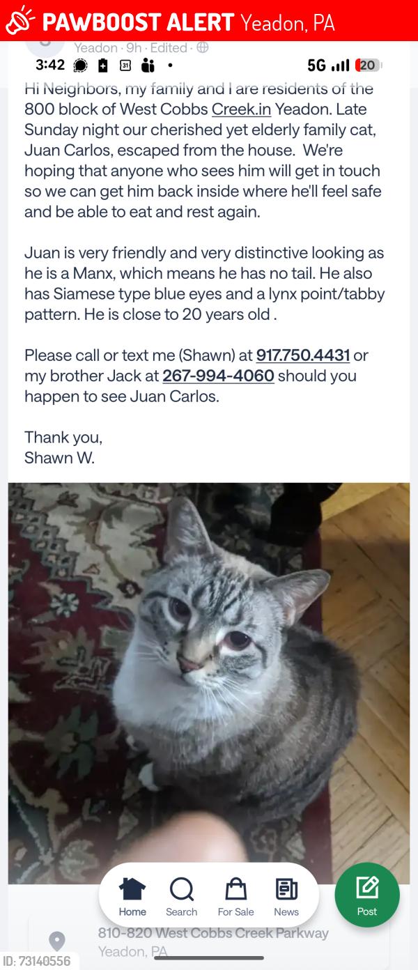Lost Male Cat last seen West Cobbs Creek off Parmley, Yeadon, PA 19050